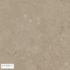 Coral Clay Colour Silestone
