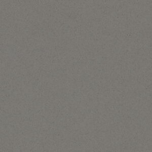 Gobi Grey Technistone